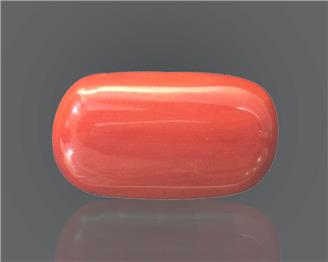Natural Coral  11.26RTS-24883